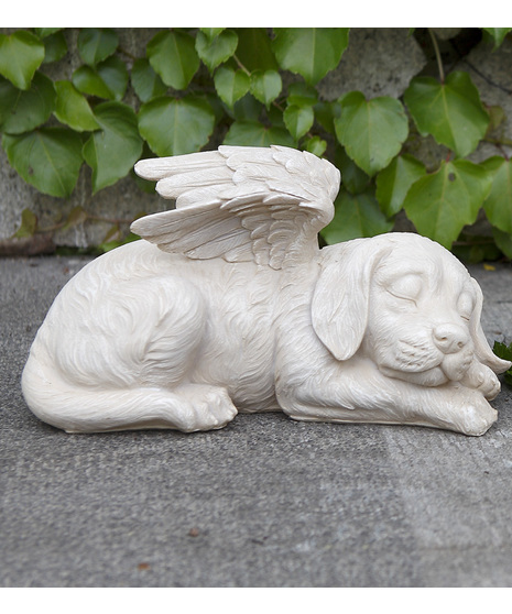 Sympathy Laying Angel Dog