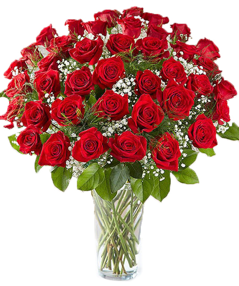 Four Dozen Roses