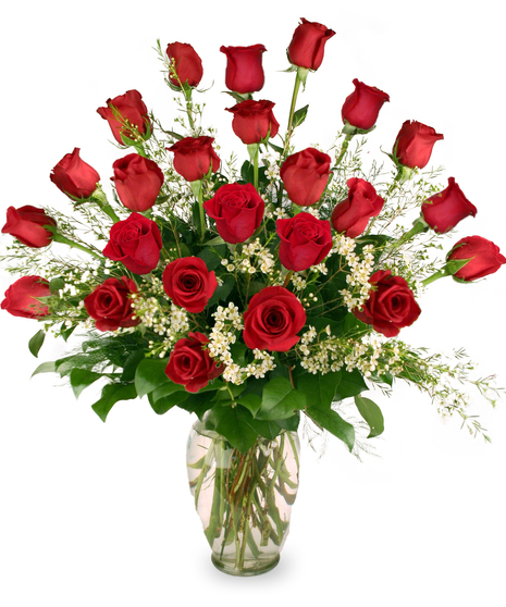 Two Dozen Roses