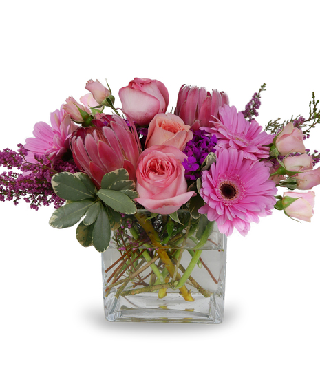 Design of the Week: Protea Picnic