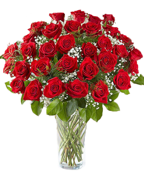 Three Dozen Roses