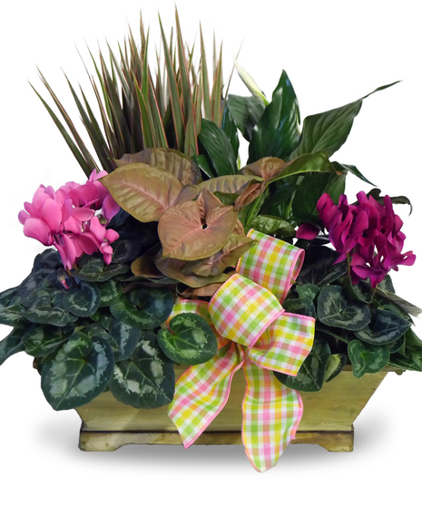 Spring Fever Garden