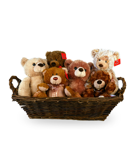 Plush Bears